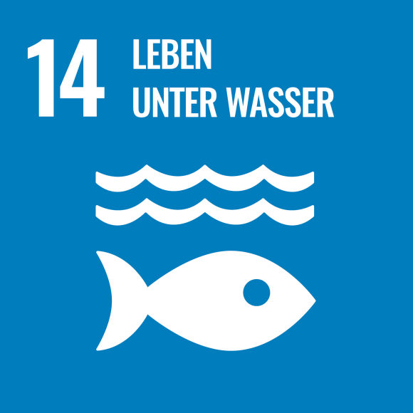 14. Leben unter Wasser 14. Leben unter Wasser