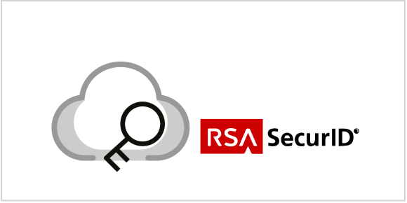 Zugang per Internet & RSA Token